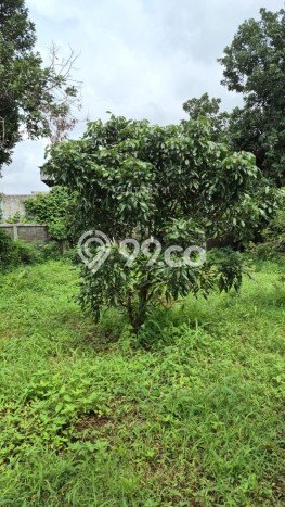 Kavling Tanah untuk Dijual di Bintara, Bekasi, Luas 2592m2 Kavling Tanah untuk Dijual di Bintara, Bekasi, Luas 2592m2