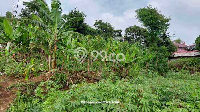 Tanah Kosong Dijual di Bogor dengan Area 3378m2 Tanah Kosong Dijual di Bogor dengan Area 3378m2