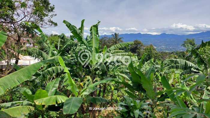 Tanah Kosong Dijual di Bogor dengan Area 3378m2 Tanah Kosong Dijual di Bogor dengan Area 3378m2