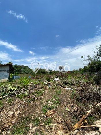 Jarang Ada! Tanah di Tembalang Punya Luas 7252m2 SHM Jarang Ada! Tanah di Tembalang Punya Luas 7252m2 SHM