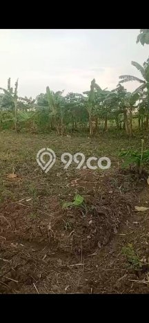 Jual Tanah Kawasan Bisnis Kawasan Mranggen, Luas 98m2m², Potensi Bagus Jual Tanah Kawasan Bisnis Kawasan Mranggen, Luas 98m2m², Potensi Bagus