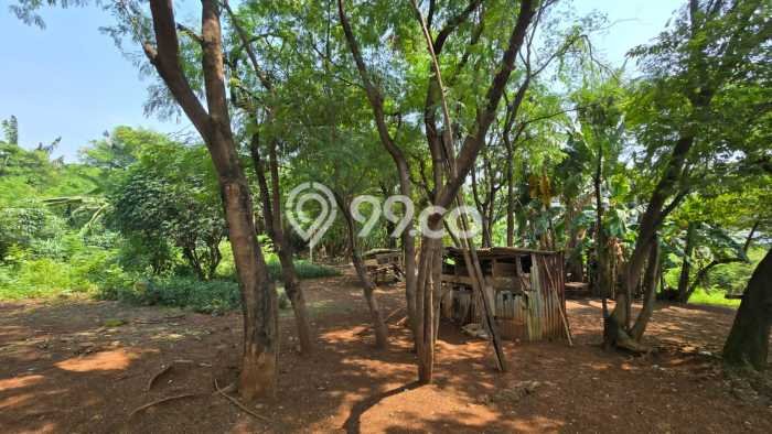 Kavling Tanah di Cengkareng Dijual Luas 21820m2 Legalitas - Kavling Tanah di Cengkareng Dijual Luas 21820m2 Legalitas -