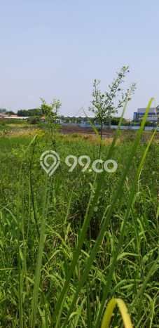 Tanah Komersial Dijual di Buduran Sidoarjo 4033m2 Tanah Komersial Dijual di Buduran Sidoarjo 4033m2
