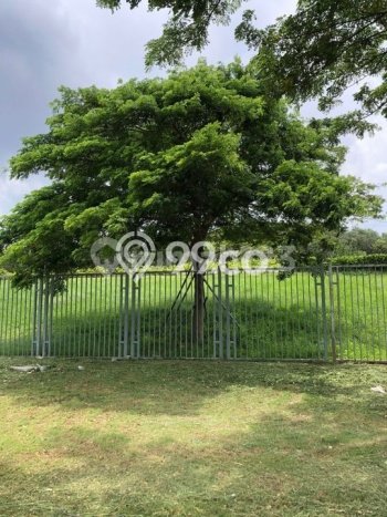 Tanah Kavling Dijual di Jakarta Utara dengan Spesifikasi 200m2 Tanah Kavling Dijual di Jakarta Utara dengan Spesifikasi 200m2