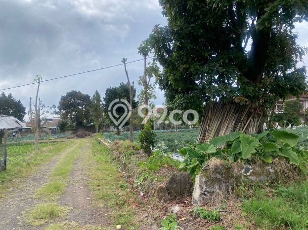 Lahan Dijual Lokasi Strategis di Bandung dengan Luas 20000m2 Lahan Dijual Lokasi Strategis di Bandung dengan Luas 20000m2