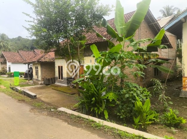 Rumah Minimalis Dijual di Punduh Pidada 2 Kamar dengan LT 352m2 Rumah Minimalis Dijual di Punduh Pidada 2 Kamar dengan LT 352m2