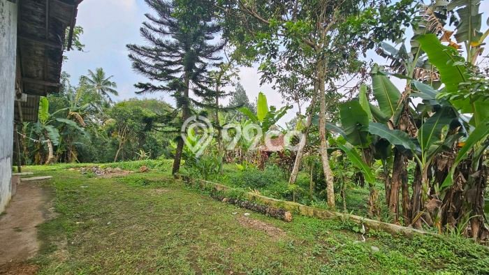 Rumah Minimalis Dijual Lokasi Cicurug 2 Kamar dengan LT 1221m2 Rumah Minimalis Dijual Lokasi Cicurug 2 Kamar dengan LT 1221m2