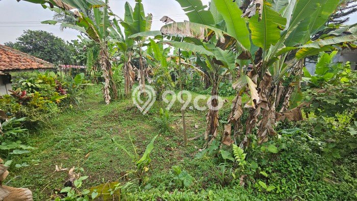 Dijual Rumah Strategis Bagus Punya 2 KT di Cigombong Bogor SHM Dijual Rumah Strategis Bagus Punya 2 KT di Cigombong Bogor SHM