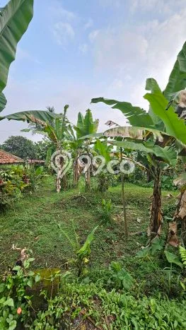 Rumah Minimalis Dijual Lokasi Cicurug 2 Kamar dengan LT 1221m2 Rumah Minimalis Dijual Lokasi Cicurug 2 Kamar dengan LT 1221m2