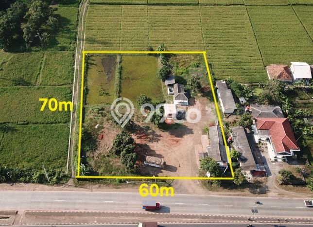 Kavling Tanah Dijual di Pamanukan Subang Spesifikasi 4197m2 Kavling Tanah Dijual di Pamanukan Subang Spesifikasi 4197m2