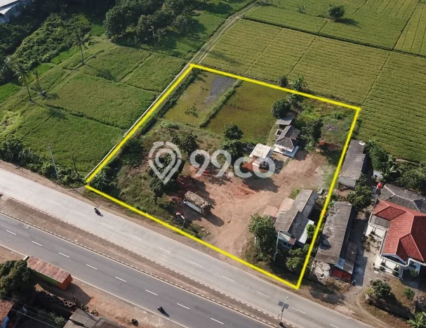 Lahan Investasi Lokasi Ciasem Subang - Lahan Investasi Lokasi Ciasem Subang -
