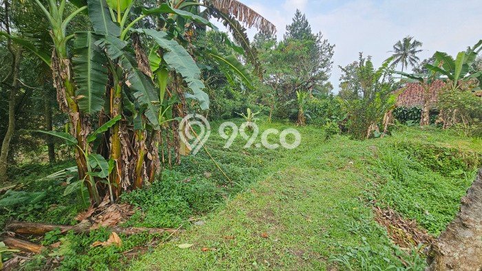 Dijual Rumah Strategis Bagus Punya 2 KT di Cigombong Bogor SHM Dijual Rumah Strategis Bagus Punya 2 KT di Cigombong Bogor SHM