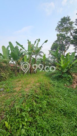 Rumah Minimalis Dijual Lokasi Cicurug 2 Kamar dengan LT 1221m2 Rumah Minimalis Dijual Lokasi Cicurug 2 Kamar dengan LT 1221m2