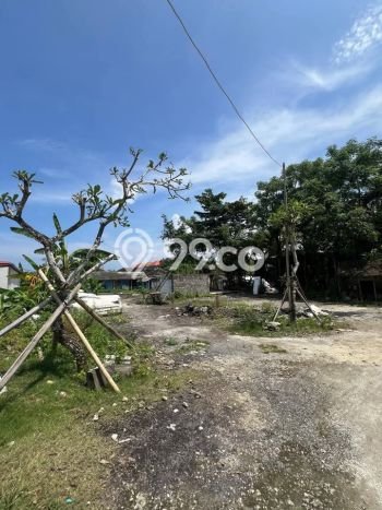 Jarang Ada! Tanah Kavling Disewakan di Badung 600m2 Jarang Ada! Tanah Kavling Disewakan di Badung 600m2