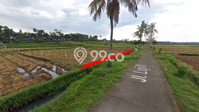 Tanah Dijual Lokasi Strategis di Jembrana dengan Luas 2880m2 Tanah Dijual Lokasi Strategis di Jembrana dengan Luas 2880m2