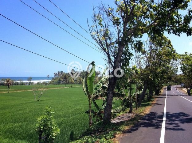 Tanah Dijual Lokasi Strategis di Jembrana dengan Luas 2880m2 Tanah Dijual Lokasi Strategis di Jembrana dengan Luas 2880m2