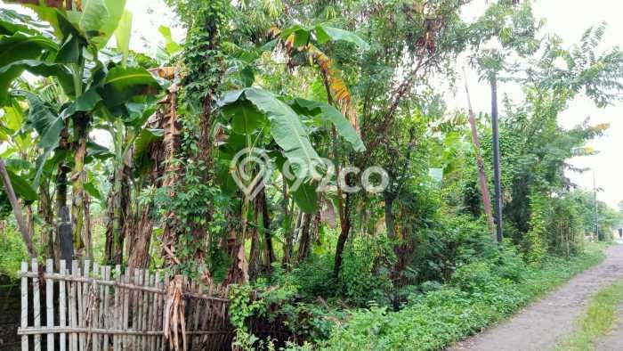 Kavling Tanah di Sukoharjo Dijual Luas 158m2 Legalitas SHM Kavling Tanah di Sukoharjo Dijual Luas 158m2 Legalitas SHM