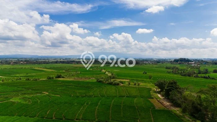 Tanah Kavling Dijual di Tabanan dengan Spesifikasi 4000m2 Tanah Kavling Dijual di Tabanan dengan Spesifikasi 4000m2