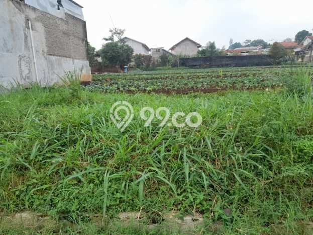 Tanah Siap Bangun Dijual di Bandung Punya Luas 168m2 Tanah Siap Bangun Dijual di Bandung Punya Luas 168m2
