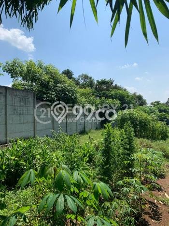 Tanah Lokasi Strategis Kawasan Cikeusal, Luas 9013m2m², Lingkungan Asri, Akses Cikeusal, Serang, Serang Tanah Lokasi Strategis Kawasan Cikeusal, Luas 9013m2m², Lingkungan Asri, Akses Cikeusal, Serang, Serang