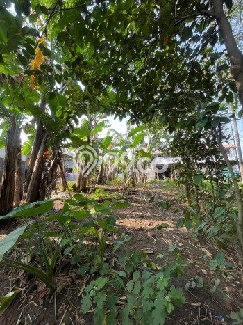 Kavling Tanah Dijual di Cikarang Selatan Bekasi Spesifikasi 200m2 Kavling Tanah Dijual di Cikarang Selatan Bekasi Spesifikasi 200m2