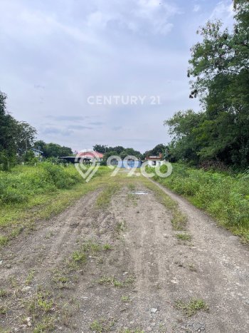 Gudang Dijual Lokasi Stratagis di Cileungsi Bogor Cocok untuk Investasi Gudang Dijual Lokasi Stratagis di Cileungsi Bogor Cocok untuk Investasi