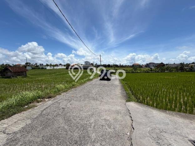 Tanah Kosong Disewakan di Tabanan, Tabanan, Luas 500m2 Tanah Kosong Disewakan di Tabanan, Tabanan, Luas 500m2