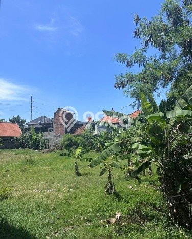 Jarang Ada! Tanah Kavling Disewakan di Denpasar 1145m2 Jarang Ada! Tanah Kavling Disewakan di Denpasar 1145m2