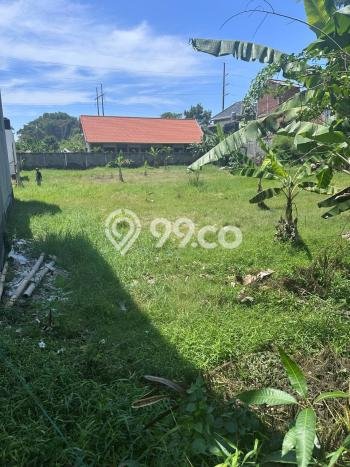 Jarang Ada! Tanah Kavling Disewakan di Denpasar 1145m2 Jarang Ada! Tanah Kavling Disewakan di Denpasar 1145m2