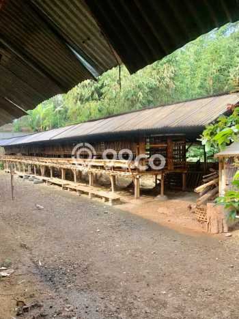 Komersial Dijual Lokasi Stratagis di Ampel Boyolali Cocok untuk Bisnis Komersial Dijual Lokasi Stratagis di Ampel Boyolali Cocok untuk Bisnis