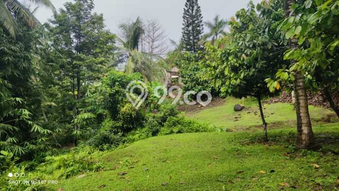 Tanah Kavling Dijual di Lalanglinggah, Tabanan dengan Luas Tanah 18000m2 Tanah Kavling Dijual di Lalanglinggah, Tabanan dengan Luas Tanah 18000m2