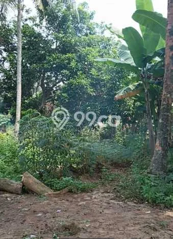 Kavling Tanah di Tigaraksa Dijual Luas 1700m2 Legalitas - Kavling Tanah di Tigaraksa Dijual Luas 1700m2 Legalitas -