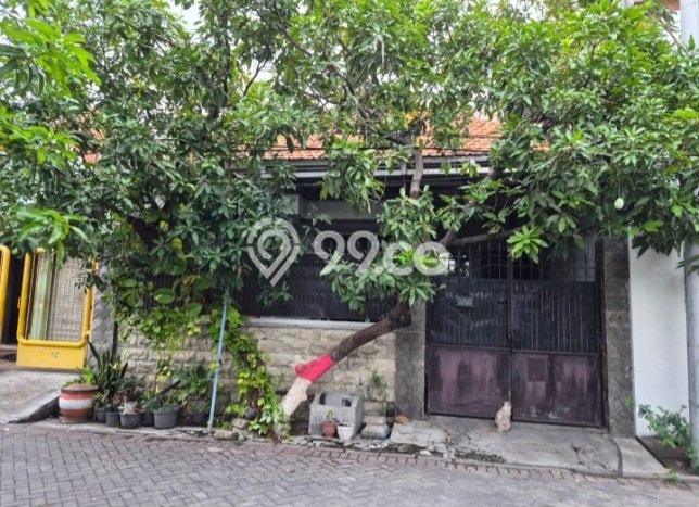 Jual Rumah Harga Miring Rungkut Punya 2 KT & LT 120m2 Jual Rumah Harga Miring Rungkut Punya 2 KT & LT 120m2