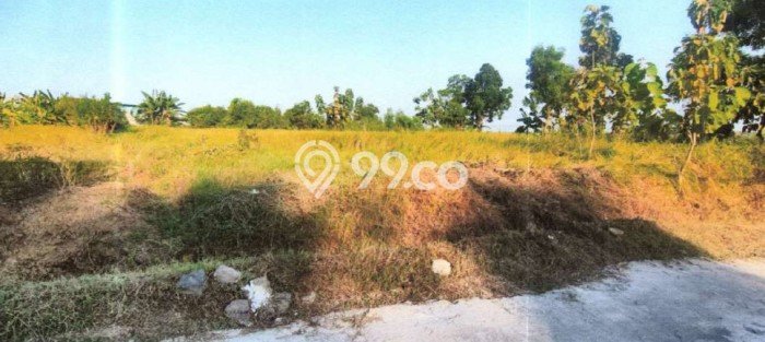 Lahan Dijual Lokasi Wiyung, Surabaya dengan Luas Tanah 1793m2 dan Status SHM Lahan Dijual Lokasi Wiyung, Surabaya dengan Luas Tanah 1793m2 dan Status SHM
