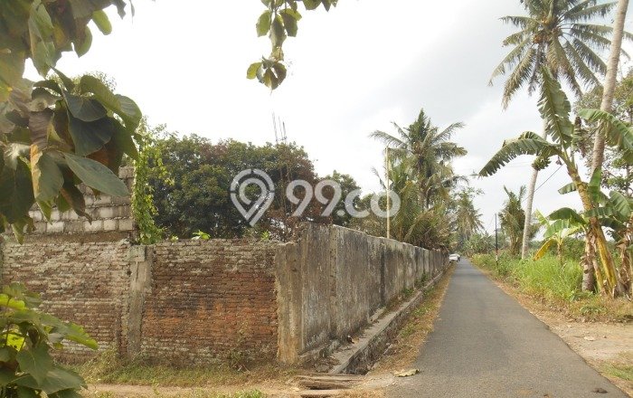 Tanah Kosong Dijual di Jember dengan Area 12238m2 Tanah Kosong Dijual di Jember dengan Area 12238m2