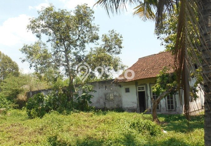 Tanah Kosong Dijual di Jember dengan Area 12238m2 Tanah Kosong Dijual di Jember dengan Area 12238m2