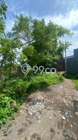 Tanah Siap Bangun Dijual di Denpasar Punya Luas 300m2 Tanah Siap Bangun Dijual di Denpasar Punya Luas 300m2