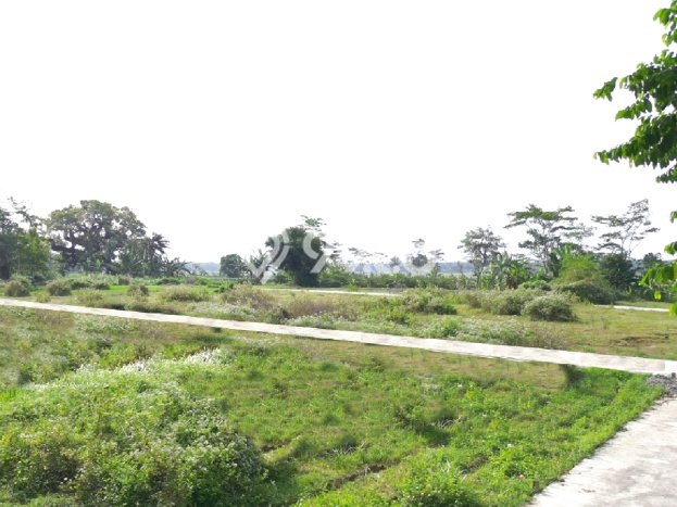 Jual Rumah Murah Meriah Ngombol Punya 2 Kamar & LT 147m2 Jual Rumah Murah Meriah Ngombol Punya 2 Kamar & LT 147m2