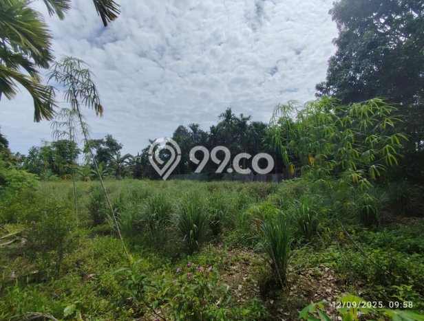 Dijual Rumah Murah di Jambi Selatan Jambi Harga Rp 331 Juta LT 100m2 Dijual Rumah Murah di Jambi Selatan Jambi Harga Rp 331 Juta LT 100m2