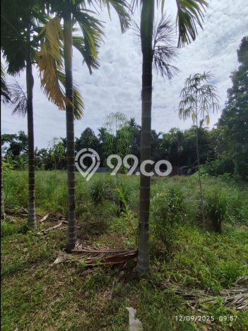Kavling Tanah Dijual di Jambi Timur Jambi Spesifikasi 302m2 Kavling Tanah Dijual di Jambi Timur Jambi Spesifikasi 302m2