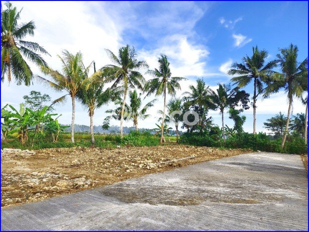 For Sale Rumah 2 Kamar Lokasi Ideal Nyaman dan Strategis di Pengasih For Sale Rumah 2 Kamar Lokasi Ideal Nyaman dan Strategis di Pengasih