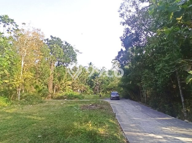 Rumah Terjangkau Dijual Area Panjatan, Kulon Progo Harga Rp 496 Juta Rumah Terjangkau Dijual Area Panjatan, Kulon Progo Harga Rp 496 Juta