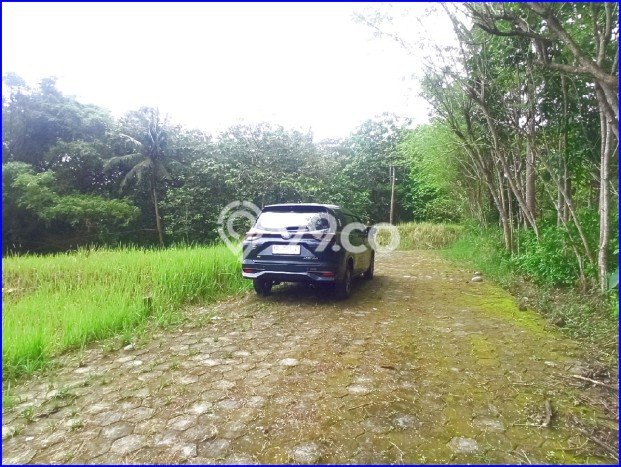 Jual Rumah Bagus Siap Huni LB 65m2 di Wates, Kulon Progo Jual Rumah Bagus Siap Huni LB 65m2 di Wates, Kulon Progo