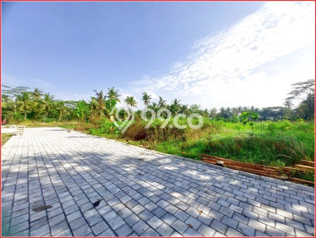 Jual Rumah Minimalis Bagus Punya 3 KT di Pengasih Kulon Progo SHM Jual Rumah Minimalis Bagus Punya 3 KT di Pengasih Kulon Progo SHM
