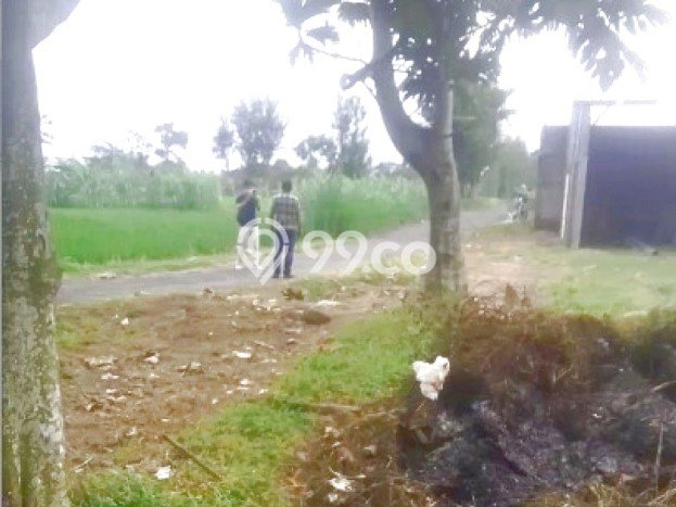 Dijual Rumah 4 Kamar Lokasi Ideal Bagus dan Strategis di Ngaglik Dijual Rumah 4 Kamar Lokasi Ideal Bagus dan Strategis di Ngaglik
