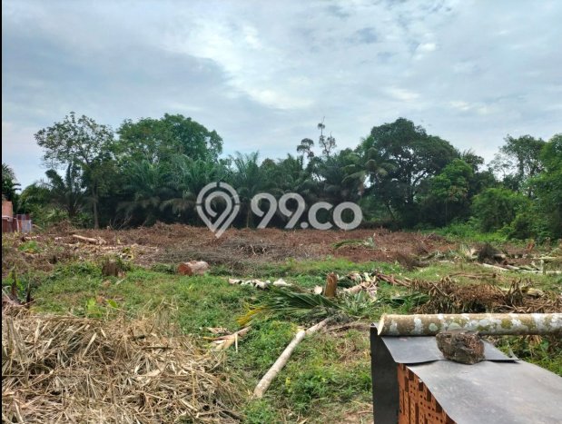 Tanah di Jambi Selatan, Jambi Luas 157m2 Dijual Segera Tanah di Jambi Selatan, Jambi Luas 157m2 Dijual Segera