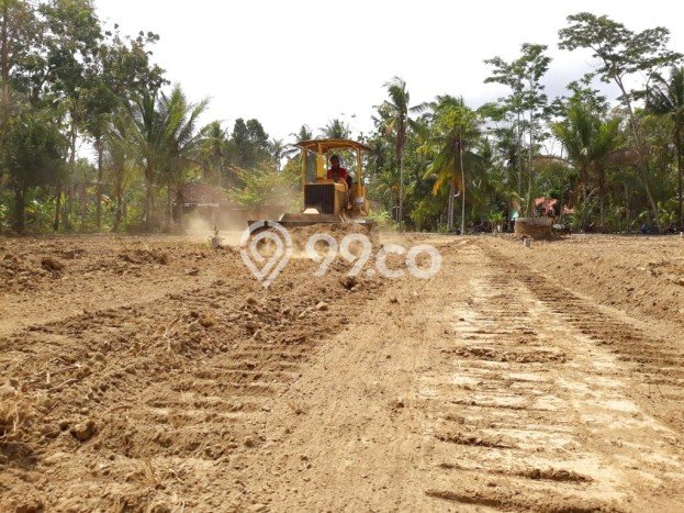 Rumah Sederhana Dijual Lokasi Moyudan 2 Kamar dengan Luas Tanah 50m2 Rumah Sederhana Dijual Lokasi Moyudan 2 Kamar dengan Luas Tanah 50m2