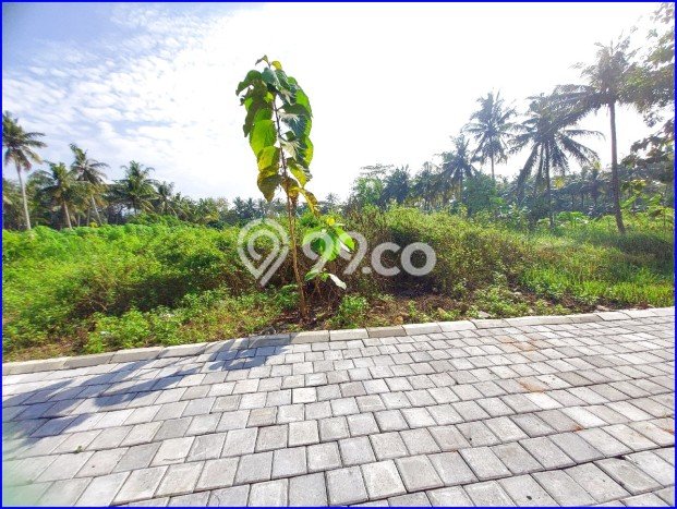 Rumah Terjangkau Dijual di Pengasih, Kulon Progo Harga Rp 499 Juta Rumah Terjangkau Dijual di Pengasih, Kulon Progo Harga Rp 499 Juta