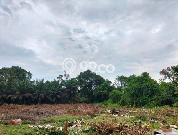 Tanah di Jambi Selatan, Jambi Luas 157m2 Dijual Segera Tanah di Jambi Selatan, Jambi Luas 157m2 Dijual Segera
