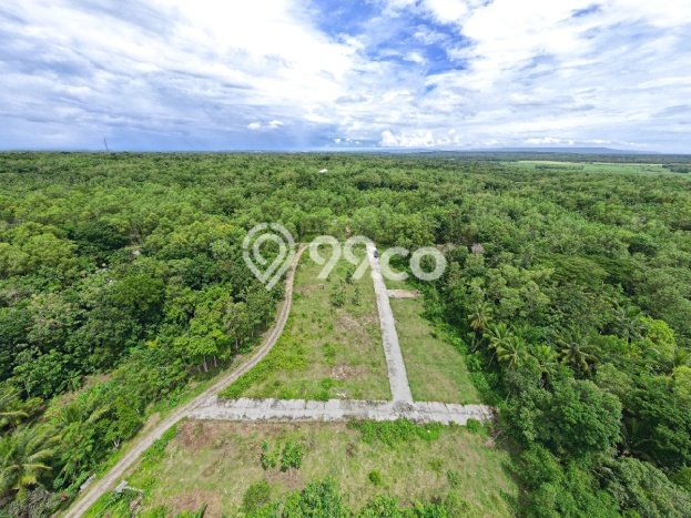 Rumah Siap Pakai area Panjatan, Kulon Progo, Luas 182m² LB 65m² Rumah Siap Pakai area Panjatan, Kulon Progo, Luas 182m² LB 65m²